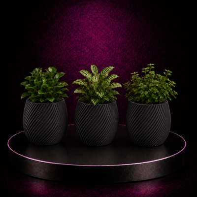 Blumentopf TrioLine