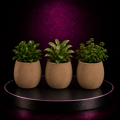 Blumentopf TrioLine