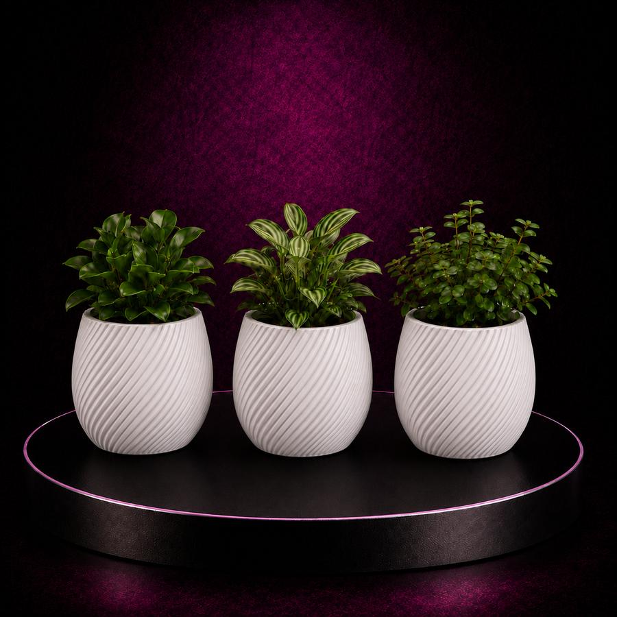 Blumentopf TrioLine