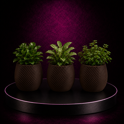 Blumentopf TrioLine