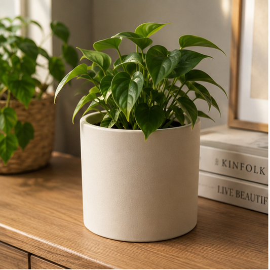 Blumentopf PureLine als moderner 3D-gedruckter Übertopf von 3Dreamz